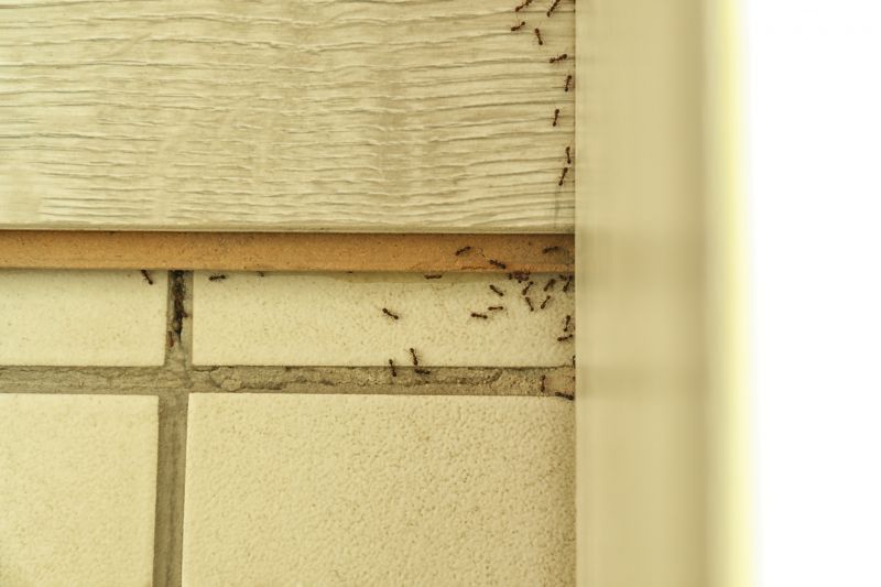 Ant Control Service in Davidson, NC