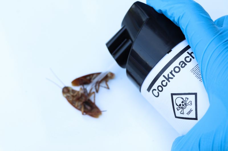 Cockroach Fumigation Service in Mooresville, NC