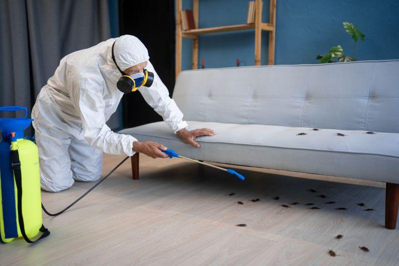 Cockroach Fumigation Service in York County, SC