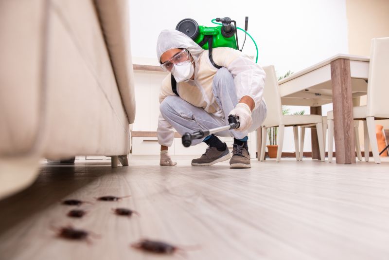 Pest Control Service in Iron Station, NC