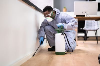 Residential Pest Control in Indian Trail, NC