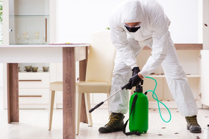 Residential Pest Control in Kannapolis, NC