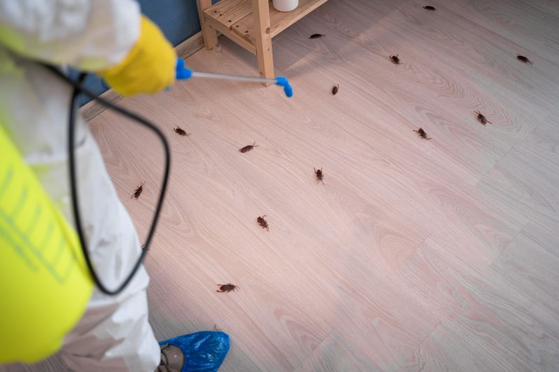 Roach Extermination in Cabarrus County, NC