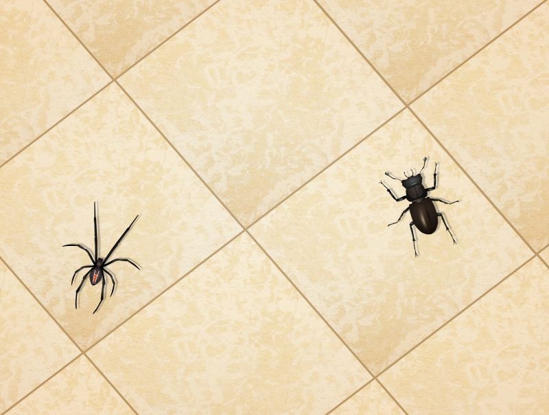 Spider Extermination Service in Mount Holly, NC