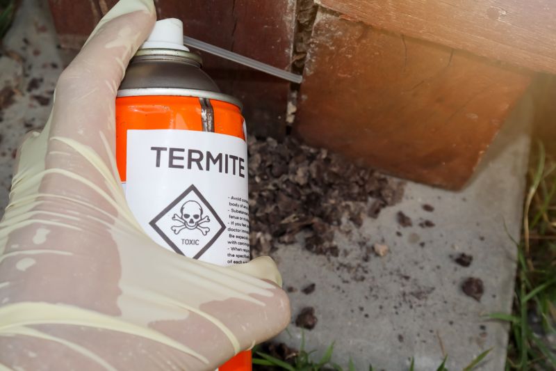 Termite Fumigation in Rock Hill, SC