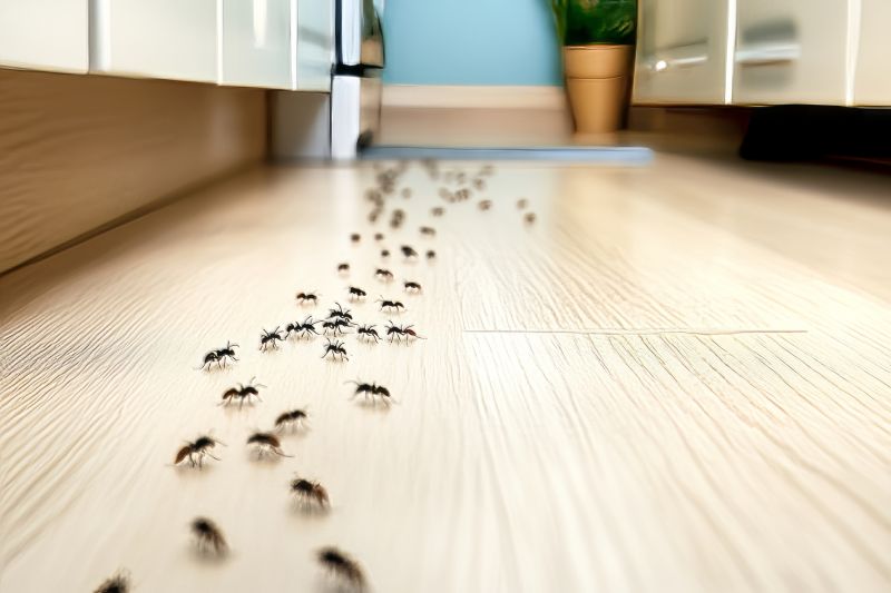 Velvet Ant Extermination in Charlotte, NC